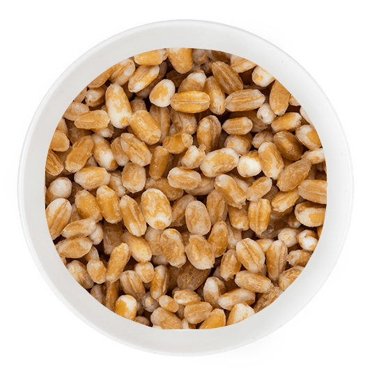 Wheat Wheat