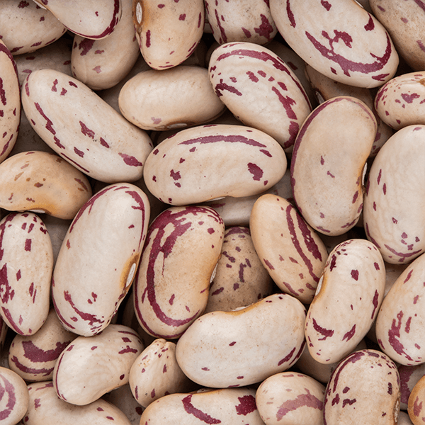 Red Speckled Beans