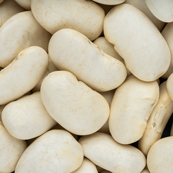 Kidney Beans