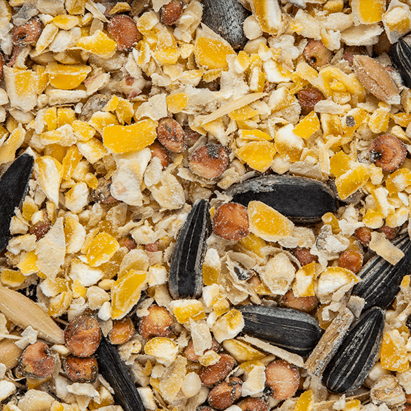 Garden Bird Seed