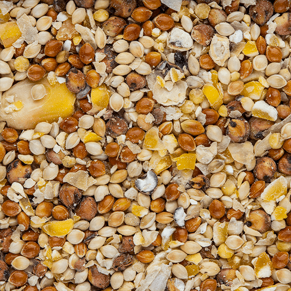 Wild Bird Seed