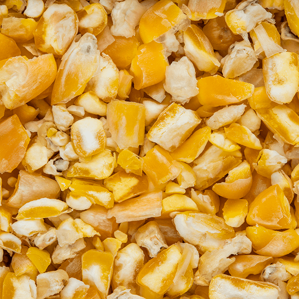 Crushed Yellow Maize