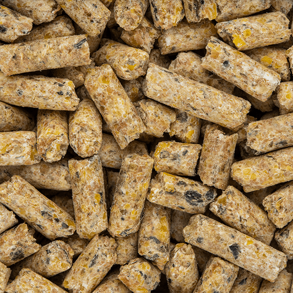 Starter Pellets