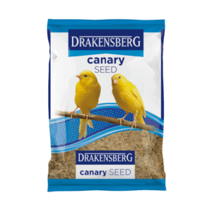 Drakensberg Canary Seed