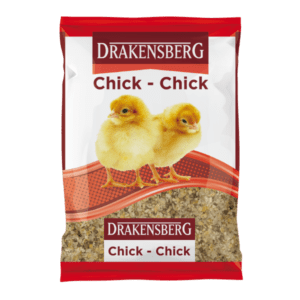 Drakensberg Chick-Chick