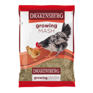 Drakensberg Growing Mash
