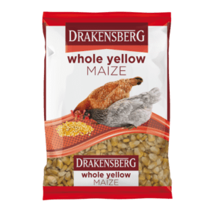 Drakensberg Whole Yellow Maize