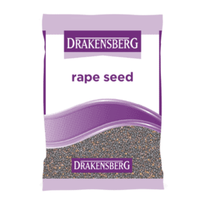 Rape seed