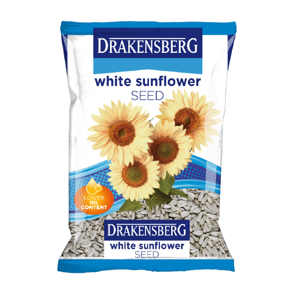 Drakensberg White Sunflower Seed